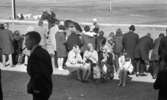 Travet 2 maj 1966

Publik, män, kvinnor och barn, vid travtävling