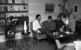 Brudpar 1946 (hemma hos), 9 mars 1966

En familj bestående av en far, en mor och deras unge tonårsson sitter i en soffa i ett vardagsrum. På väggarna hänger tavlor. En bokhylla syns till vänster. Framför familjen i soffan står ett bord.