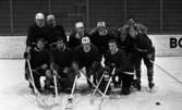 Orubricerat 17 mars 1966

Ett ishockeylag.