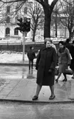 Gå mot rött ljus, 8 mars 1966

Folk går mot rött ljus.
Trädgårdstorget
