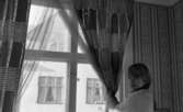 Orubricerat 12 april 1966

Barn visar upp trasigt fönster