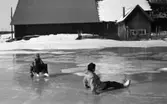 Skridskoåkning på Närkeslätten 11 mars 1966