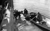 Kille i Svartån, 17 maj 1966

Två polismän är i färd med att lyfta upp en man ur Svartåns vatten. De lägger honom i en båt. I båten sitter två andra män. den ene ror ekan. Åskådares fötter syns uppe till vänster på bild.




































































































































































































































































or. Han går nedför en kort trappa utomhus.