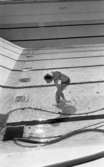 Hej Sommar, 3 maj 1966

En kvinna i bikini står framåtböjd och drar sin vänstra hand genom vattnet i en bassäng på Gustavsviksbadet. I förgrunden syns en vattenpump. Slangar löper från denna ut i bassängen.











































































































































































































































































or. Han går nedför en kort trappa utomhus.