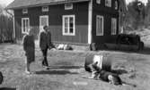 Hundarna i Mosås 4 maj 1966

En stor schäfer ligger ned invid en tunna.  Framför hunden står en man klädd i skjorta, slips, kostym, skor och glasögon samt en kvinna klädd i tröja, blus, kjol och skor. I bakgrunden syns ett hus samt åkermark. En traktor står till höger om huset.




























































































































































































































































































or. Han går nedför en kort trappa utomhus.