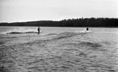 Vattenskidor
17 maj 1966