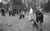Hunddressyr kurs 22 april 1965