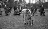Hunddressyr kurs 22 april 1965