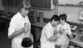 Bakterier databehandlas, Blindlärare till kongress 15 april 1967
