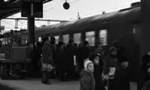 Rusning på Centralen
24 december 1965
Centralstation