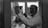 Regionsjukhuset 25 november 1965

En läkare i vit rock håller upp armarna. I högra handen håller han ett instrument. Bakom honom sitter tre röngenbilder uppsatta på ett fönster. Han befinner sig ett rum på Regionsjukhuset i Örebro.