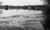 Översvämningar 4 maj 1966