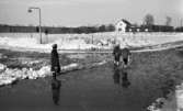 Snömodd och översvämning bland annat i Varberga 1 februari 1966

Kvinna och barn i vattensamling på vintrig gata