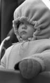 Brr va kallt, 4 februari 1966

Närbild på en liten baby klädd i overall med luva och vantar som sitter i en barnvagn.