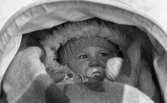 Brr va kallt, 4 februari 1966

Närbild på en liten baby klädd i overall med luva, mössa och vantar och som ligger nedbäddad i en barnvagn.