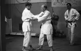 Julreportage, United Shoe 3 februari 1966

Tre män är klädda i judodressar. Två av dem har tagit tag i varandra och den tredje tittar på. Den sistnämnde har svart bälte runt livet och de andra två har vita bälten. I bakgrunden syns bollar hänga och ligga på golvet i nätkassar.