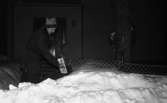 Tidningsbud 12 februari 1966

Ett tidningsbud, en kvinna, klädd i kappa och mössa står utanför ett hus och är i färd med att stoppa ner en tidning i en brevlåda. I förgrunden finns en stor snödriva. Ett staket och ett stort träd finns tilll höger.