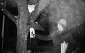Tidningsbud 12 februari 1966

Ett tidningsbud, en kvinna, klädd i kappa och mössa står utomhus och är i färd med att stoppa ner en tidning i en brevlåda. Bakom brevlådan står ett stort träd.