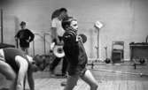 Tyngdlyftarreportage 31 januari 1966 

I förgrunden står en pojke i åttaårsåldern och lyfter en skivstång i axelhöjd inne i en träningslokal. Han sysslar med tyngdlyftning och Han är klädd i träningsjacka och shorts. Tre andra pojkar i olika åldrar står i närheten av honom.