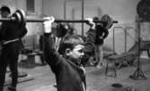 Tyngdlyftarreportage 31 januari 1966 

I förgrunden står en pojke i åttaårsåldern och lyfter en skivstång högt över huvudet inne i en idrottslokal. Han sysslar med tyngdlyftning. Han är klädd i en jacka. I bakgrunden syns flera andra pojkar i olika åldrar.