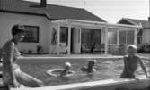 Swimmingpool 30 juli 1966