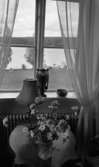 Svartå Herrgård 1 28 juli 1966

Utsikt från ett fönster i en salong på Svartå Herrgård i Örebro. Ett bord med en vas med blommor samt en lampa står framför fönstret.