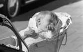 Kvar i stan 26 juli 1967

Närbild på en liten pojke i ettårsåldern som ligger i en barnvagn fastspänd med en sele runt kroppen. Han är klädd i en vit långärmad tröja och en rutig hängelbyxdress. I bakgrunden syns hjulet på en bil som passerar.