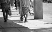 Kvar i stan 26 juli 1967

En kvinna går med en tax i koppel på stan mitt i centrala Örebro. Hon är klädd i ljus kofta och mönstrad kort kjol. En man går bredvid henne klädd i ljus skjorta, ljusa byxor oxh han bär en bag i sin högra hand. Människor och bilar syns i bakgrunden.