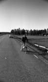 Glass, Nygren i Sten..., Gustavsvik 13 juni 1967

En man åker på en speciell sparkcykel på en landsväg. Han är klädd i mörk träningsjacka, mörka, shorts, mörka strumpor och vita gymnastikskor. Sparkcykeln är utrustad med ett stort hjul framtill och två hjul baktill. Den har en låda i mitten avsedd för bagage. En vit bil och landskapet syns i bakgrunden.