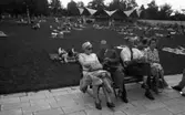 Gustavsvik 5 juli 1965
Vy över bad med människor på badlakan, äldre personer i kostym på bänk