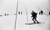 Skidans dag, 13 februari 1967.
