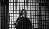 Länstös blev nunna 14 november 1966

Närbild på en ung nunna klädd i dok och dräkt. Hon bär glasögon och står bakom galler.