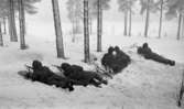 Manöver i Kilsbergen 21 februari 1967

Fem militärer på övning i Kilsbergen. Alla bär militäruniformer och ligger på den snötäckta marken med gevär i händerna.