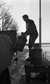 Mjölkrep 9 februari 1967

En man står ovanpå en pall och är i färd med att lyfta upp en stor mjölkflaska på ett lastbilsflak. En mjölkflaska står i förgrunden på pallen även. Landskap syns i bakgrunden. Mannen är klädd i rutig skjorta med väst, långbyxor och skor.