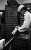 Mjölkrep 9 februari 1967

En man i vita arbetskläder arbetar i en livsmedelsfabrik närmare bestämt på Arla med att lyfta i enliters mjölkpaket i lådor från ett löpande band framför sig. Flera lådor står staplade ovanpå varandra i bakgrunden.