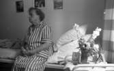 Västra mark 5 juni 1968

En kvinna sitter på en säng på sjukhuset Västra mark klädd i vitrandig klänning. Invid sängen står ett litet nattduksbord med en vas med blommor i samt ett porträtt på ett barn och två andra porträtt. Tre tavlor hänger på väggen över sängen.