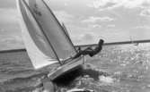 Hjälmarträffen 1967 (forts) 24 juli 1967

Man med keps lutar bakåt i jollesegling i en segelbåtstävling. Flera segelbåtar syns i bakgrunden.