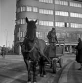 Hästar i Örebro. Korsningen Östra Bangatan och Järntorgsgatan.

15 februari 1960