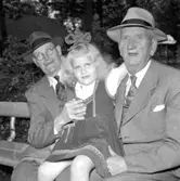 Pensionärer i Folkparken.
13 augusti 1955