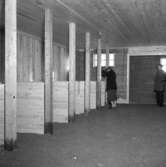 Travpremiär i Fornaboda.
2 februari 1955