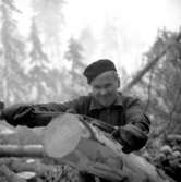 Skogshuggarlägger i Garphyttan. Bildsidan.
5 februari 1955