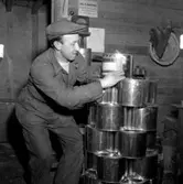 Fackföreningsledare, bildsidan.
25 februari 1955