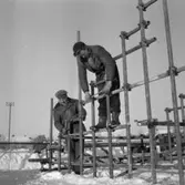 Stålrörsläktare vid Eyravallen.
13 januari 1955