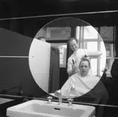 Gunder Hägg.
30 april 1955