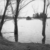 Översvämningar i Ervalla.
21 maj 1955
