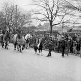 Cirkus i stan.
Bildsidan.
21 maj 1955