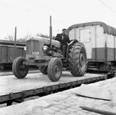 Cirkus i stan.
Bildsidan.
21 maj 1955