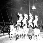 Cirkus i stan.
Bildsidan.
21 maj 1955