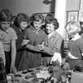 Mannekänger vid Flickskolan.
27 maj 1955