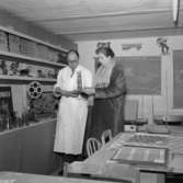 SICA17 december 1954.